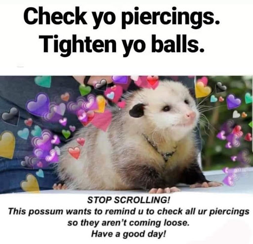 Explore famous tattoo ideas, creative tattoo ideas in Laurel, available at Ambitious Creations Tattoo and Piercing Studio