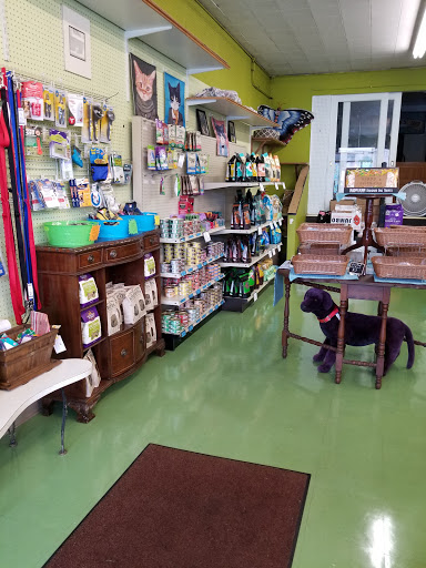 Pet Supply Store «Animal Krackers Inc», reviews and photos, 232 Main St, Gloucester, MA 01930, USA