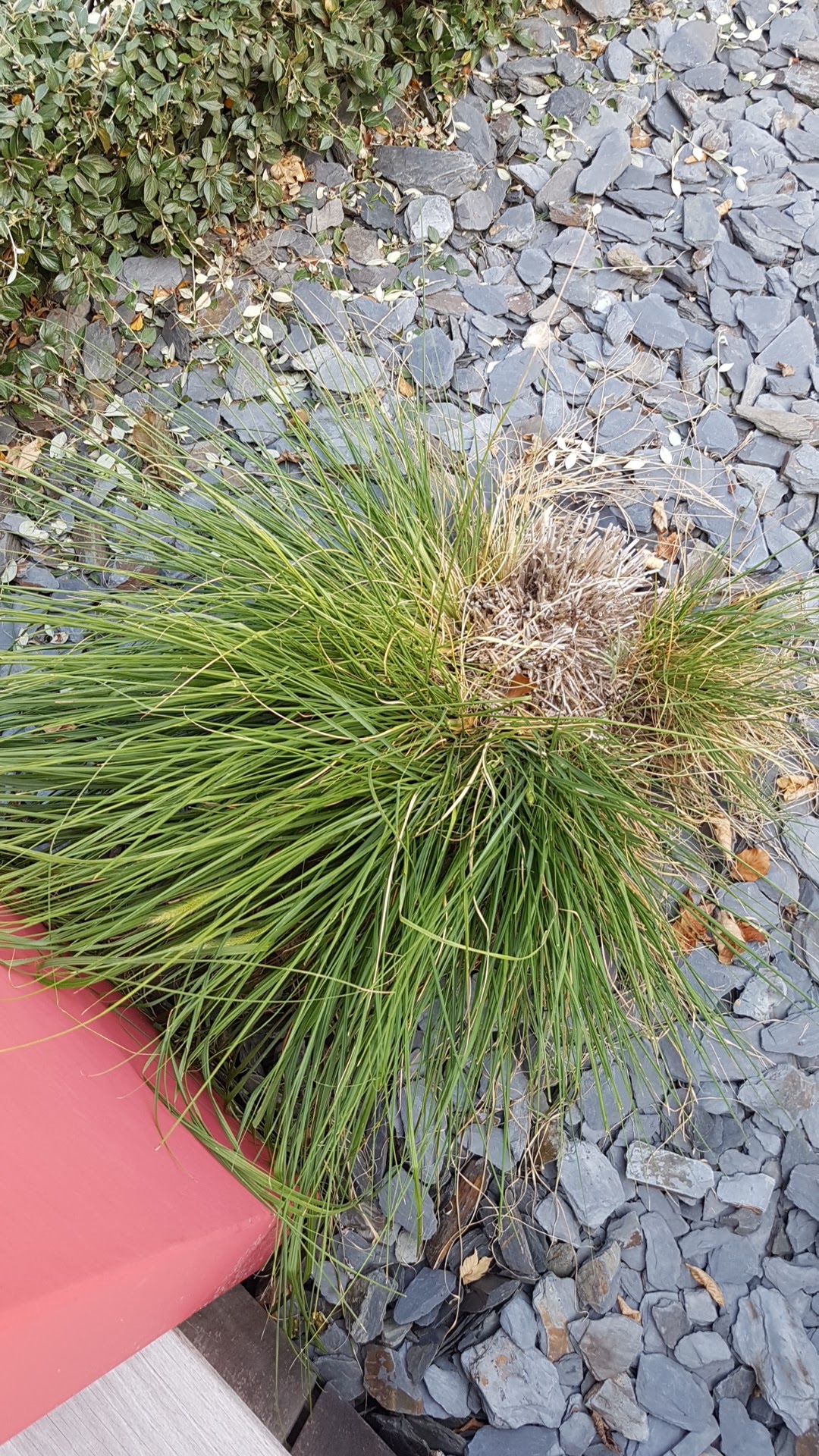Photo n° 8 de l'avis de hugo.l fait le 20/08/2018 à 15:25