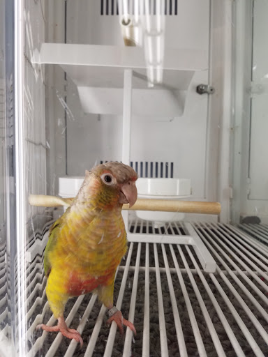 Pet Supply Store «Petco Animal Supplies», reviews and photos, 247 N Washington Hwy, Ashland, VA 23005, USA