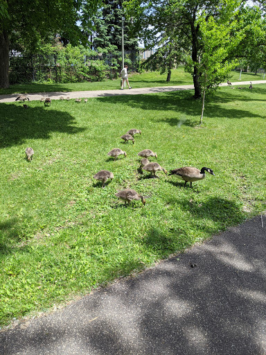 Park «Bass Lake Park», reviews and photos, 3450 Glenhurst Ave, Minneapolis, MN 55416, USA