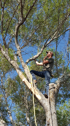 Handyman «Savages Services», reviews and photos