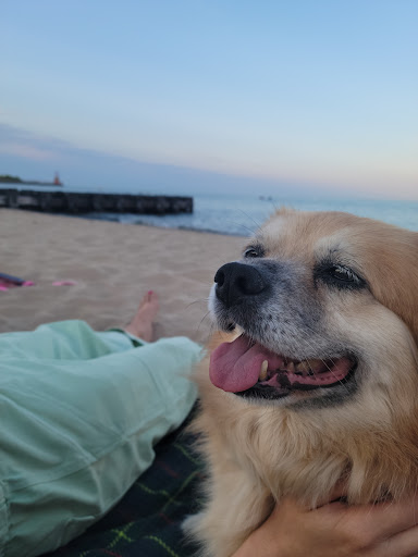 Park «North Shore Beach Park», reviews and photos, 1040 W North Shore Ave, Chicago, IL 60626, USA