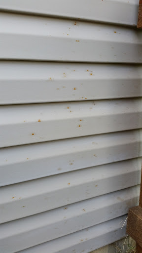 Painter «CertaPro Painters of Indianapolis», reviews and photos, 5151 Shadeland Ave, Indianapolis, IN 46226, USA