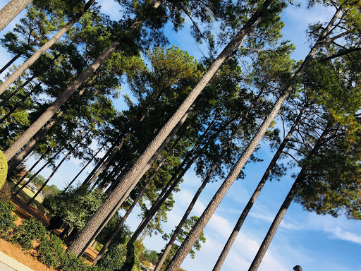 Country Club «Prestonwood Country Club», reviews and photos, 300 Prestonwood Pkwy, Cary, NC 27513, USA