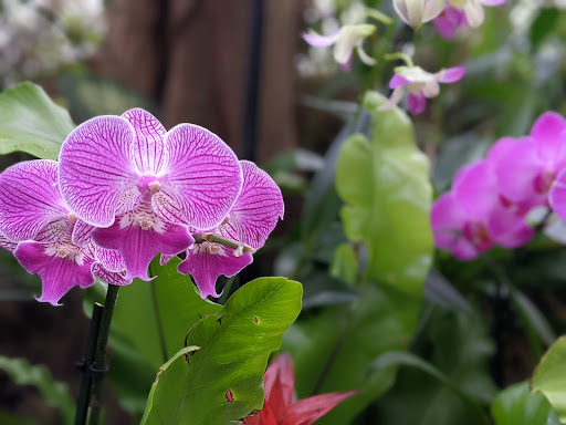 Zoo «Mesker Park Zoo», reviews and photos, 1545 Mesker Park Dr, Evansville, IN 47720, USA