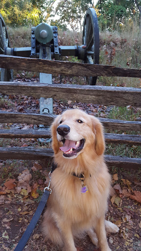 National Park «Kennesaw Mountain National Battlefield Park», reviews and photos, 900 Kennesaw Mountain Dr, Kennesaw, GA 30188, USA