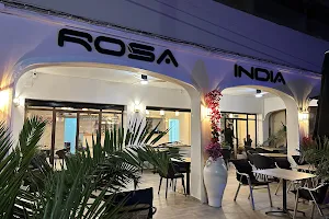 Rosa India image