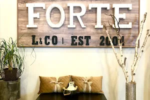 Salon Forte image