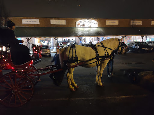 Pet Supply Store «The Stock Market Country Store», reviews and photos, 4479 Dover Pl SE, Conyers, GA 30013, USA