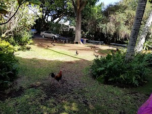 Maui Historical Society - photo 73