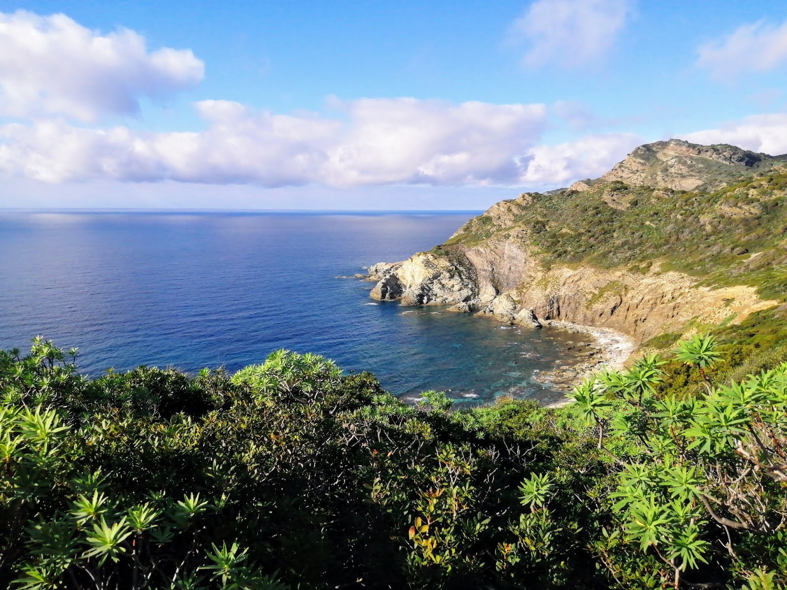 Foto van Cala di Punta Agliastroni wilde omgeving