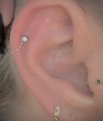 Explore simple bear tattoo ideas, creative tattoo ideas in Oklahoma City, available at Oklahoma Tattoo Collective