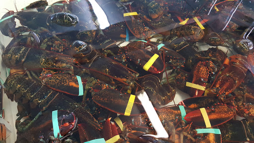 Seafood Market «Parsons Lobsters», reviews and photos, 64 Eagle Lake Rd, Bar Harbor, ME 04609, USA