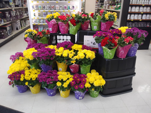 Hardware Store «Westlake Ace Hardware», reviews and photos, 4049 Somerset Dr, Prairie Village, KS 66208, USA