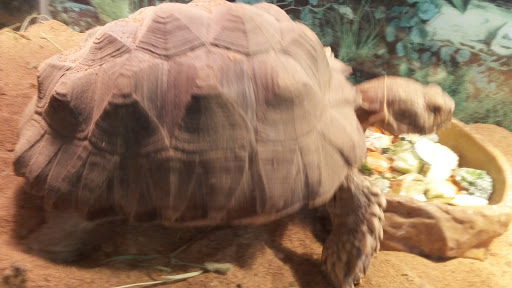 Pet Store «Fins Feathers Paws & Claws», reviews and photos, 436 Main St, Harleysville, PA 19438, USA