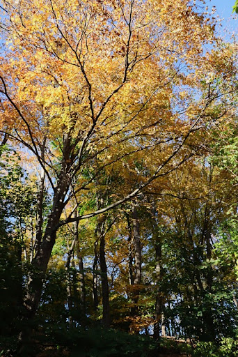 History Museum «West Point Foundry Preserve», reviews and photos, 80 Kemble Ave, Cold Spring, NY 10516, USA