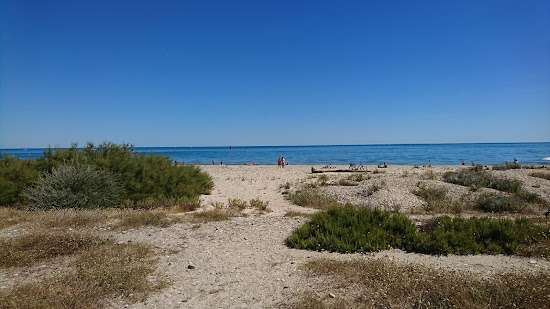 Maguelone beach