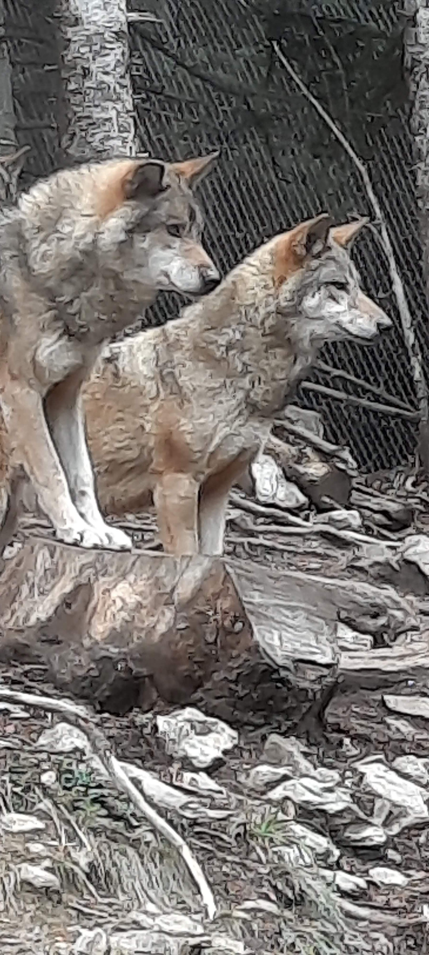 Photo n° 6 de l'avis de Mathilde.a fait le 13/11/2022 à 20:16