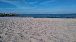 Foto av Fynshav Beach vildmarksområde