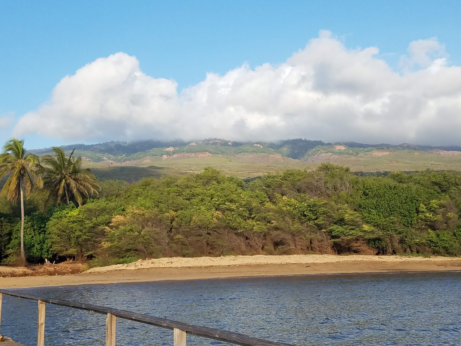 Photo de Halepalaoa Beach zone sauvage