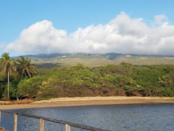 Halepalaoa Beach'in fotoğrafı vahşi alan