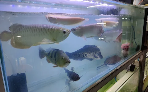 Prabir Aquarium Center image