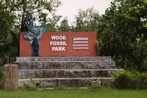 Amkhoi Wood Fossil park image