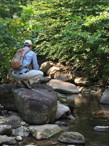 Fishing Store «Albemarle Angler», reviews and photos, 1129 Emmet St N, Charlottesville, VA 22903, USA