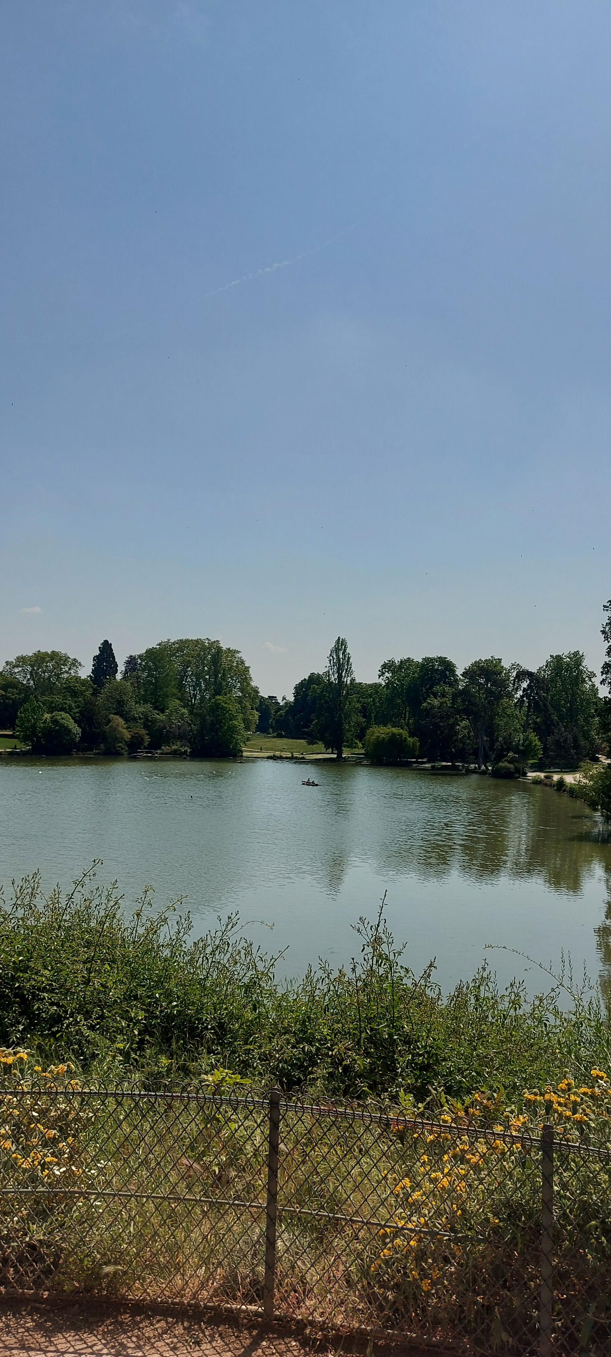 Photo n° 6 de l'avis de gwadilina.l fait le 12/05/2022 à 00:30