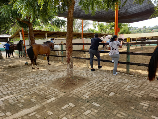 Cursos equitacion Barranquilla