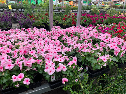 Home Improvement Store «The Home Depot», reviews and photos, 1177 Great Mall Dr, Milpitas, CA 95035, USA