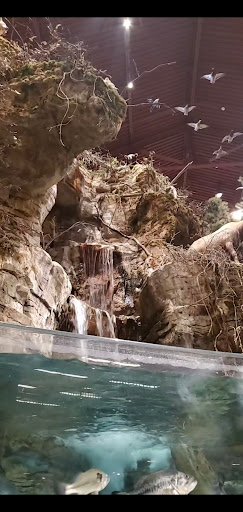 Sporting Goods Store «Bass Pro Shops», reviews and photos, 10000 Bass Pro Blvd, Rossford, OH 43460, USA
