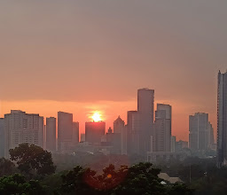 Century Park photo