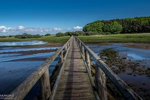 Aberlady Bay Local Nature Reserve image