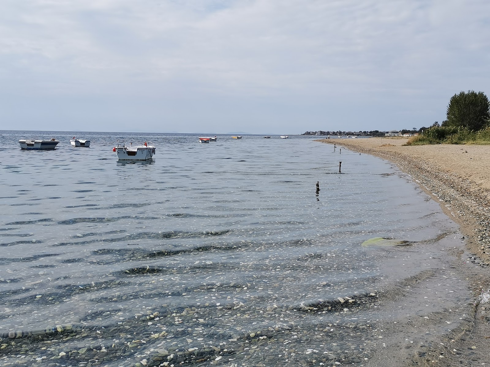 Fotografija Gulsah beach z prostorna obala