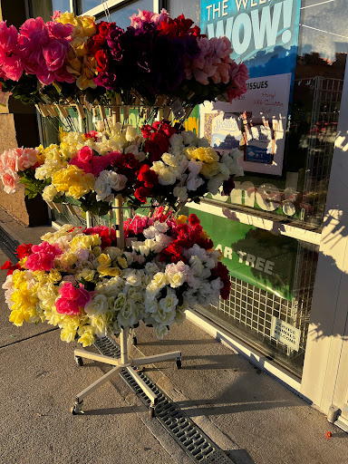 Dollar Store «Dollar Tree», reviews and photos, 2540 Cumberland Blvd SE, Smyrna, GA 30080, USA