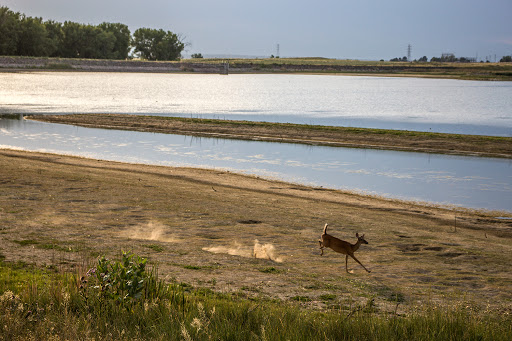 Wildlife Refuge «Rocky Mountain Arsenal National Wildlife Refuge», reviews and photos