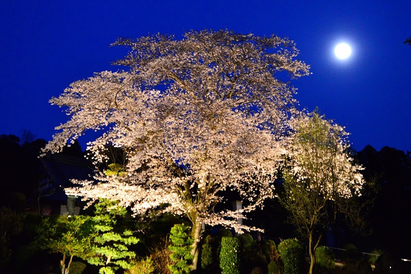 摩尼山吉祥院（真言宗豊山派）