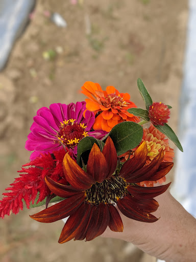 Produce Market «Berry Patch Farms», reviews and photos, 13785 Potomac St, Brighton, CO 80601, USA