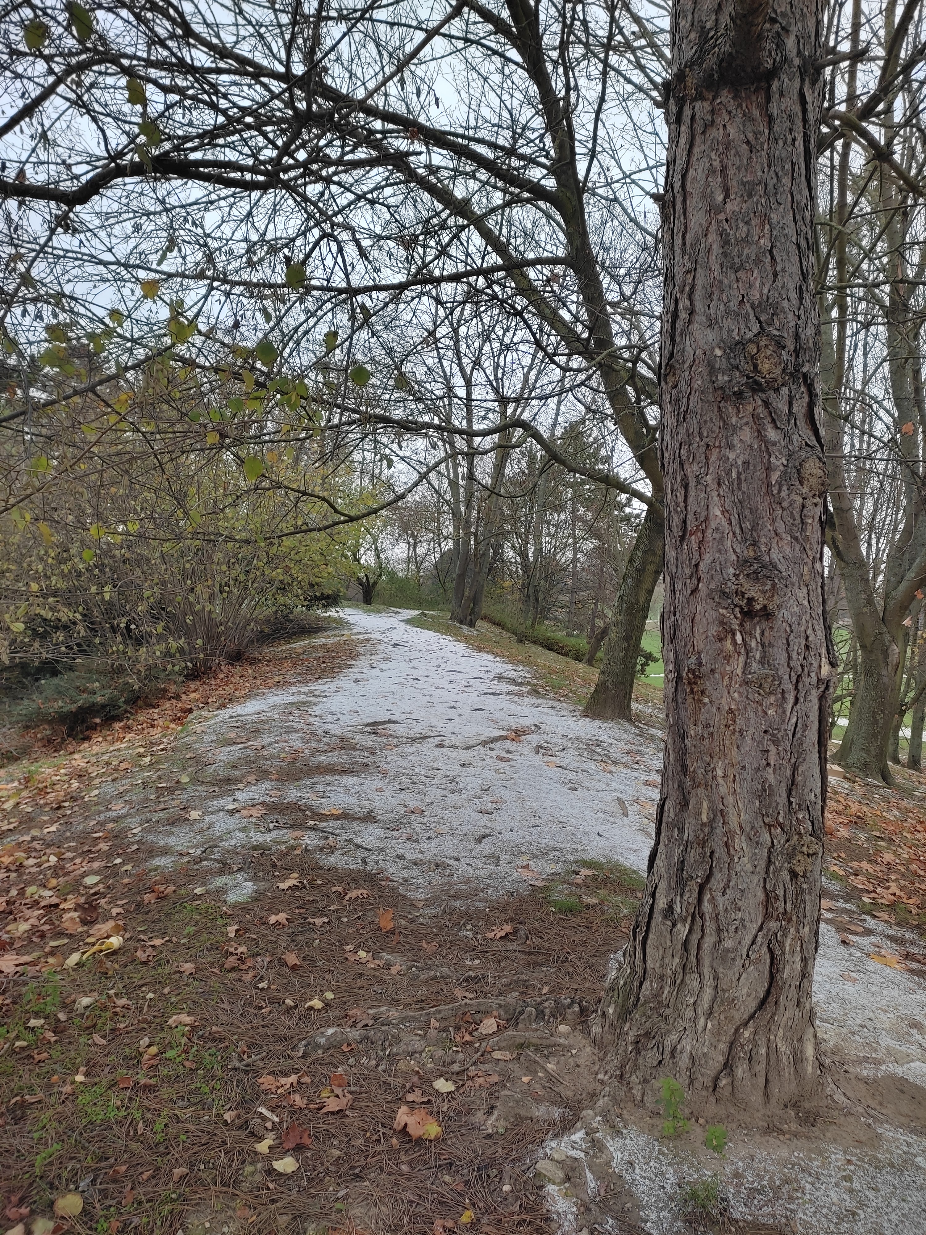 Photo n° 1 de l'avis de Christophe.E fait le 10/12/2023 à 16:41