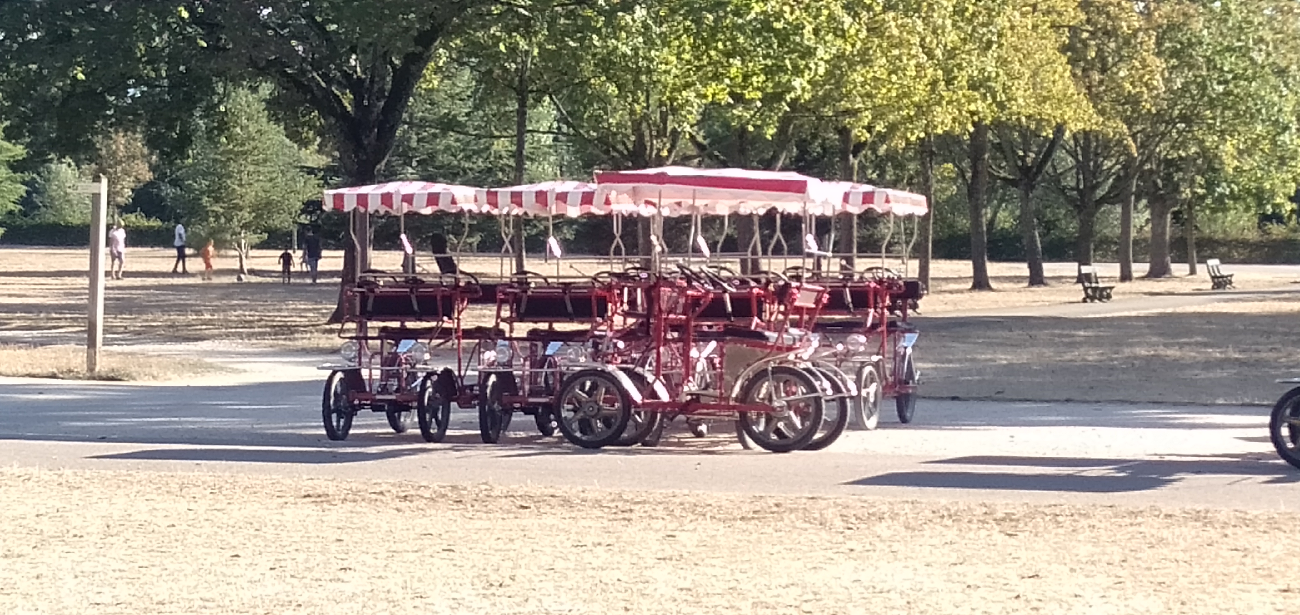 Photo n° 10 de l'avis de M-E. fait le 17/08/2020 à 16:55