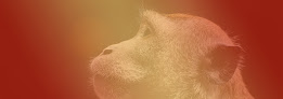 Solu'Zoo - Consulting - Solutions - Expertises Saint-Pierre-de-Trivisy