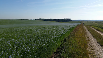 Pilaincamp à Quevauvillers