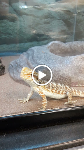 Pet Supply Store «Petco Animal Supplies», reviews and photos, 9078 SE Sunnyside Rd, Clackamas, OR 97015, USA