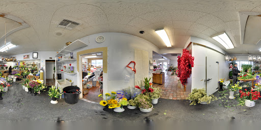 Florist «Sal the Flower Guy», reviews and photos, 2701 Jefferson St, Napa, CA 94558, USA