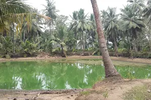 Chintalapudi Pond image