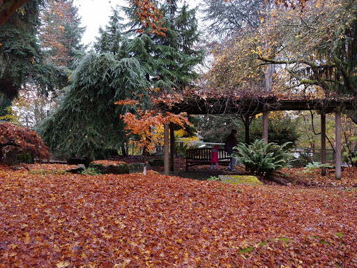 Park «McAuliffe Park», reviews and photos, 10824 NE 116th St, Kirkland, WA 98034, USA