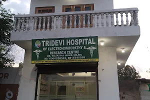 Tridevi Hospital Of Electrohomoepathy & Research Centre image