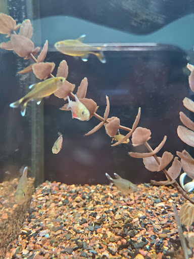 Pet Store «Animart Pet Store», reviews and photos, 1600 N Spring St, Beaver Dam, WI 53916, USA